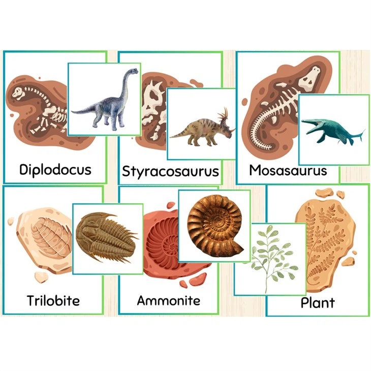 Children's Science Learning Cards