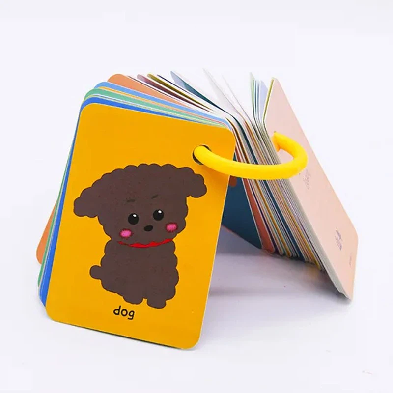 Childrens Science Learning Cards Childrens Science Learning Cards