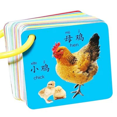 Chinese en Engelse leerkaarten